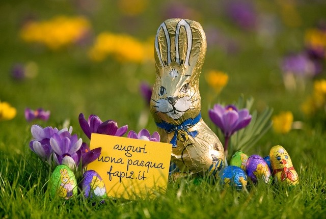 pasqua2012