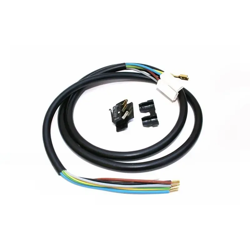Microinterruttore J00230563 - - Italia