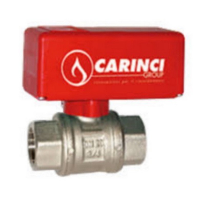 carinci_valvola_modello_2vf