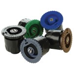 Rain testina 15a femmina - nero