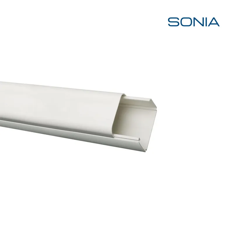 Nessuna immagine impostata 