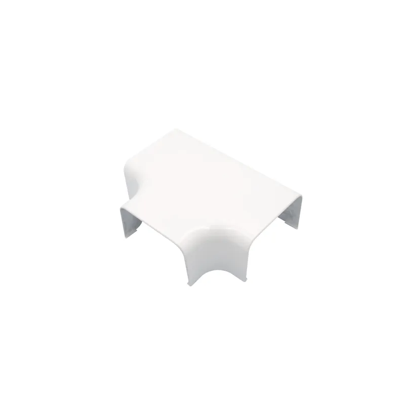 Nessuna immagine impostata 