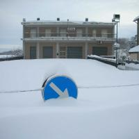 neve2.jpg