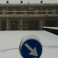 neve-001.png